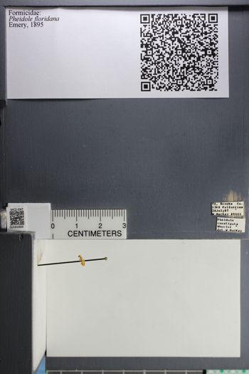 Media type: image;   Entomology 565904